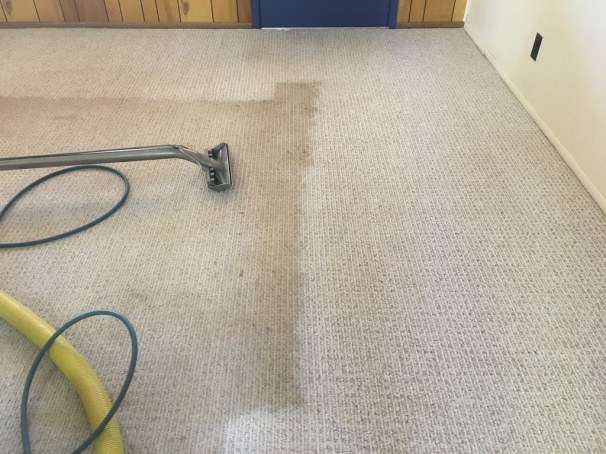 Steam Carpet Cleaning Busselton Client Picture 2017